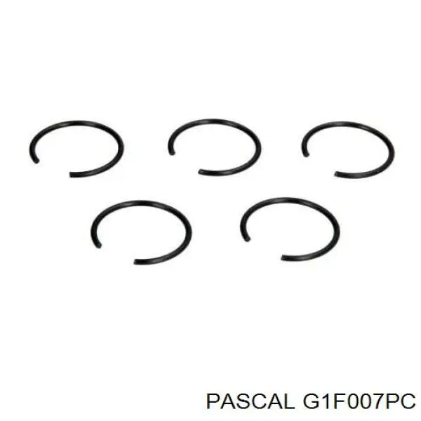 Купить G1F007PC Pascal Внешняя граната