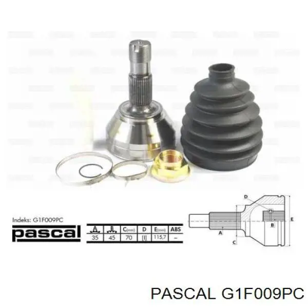 G1F009PC Pascal шрус наружный передний