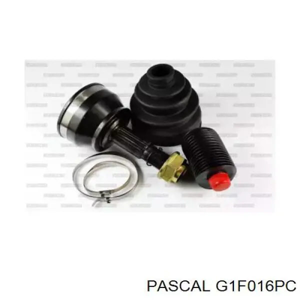 G1F016PC Pascal шрус наружный передний