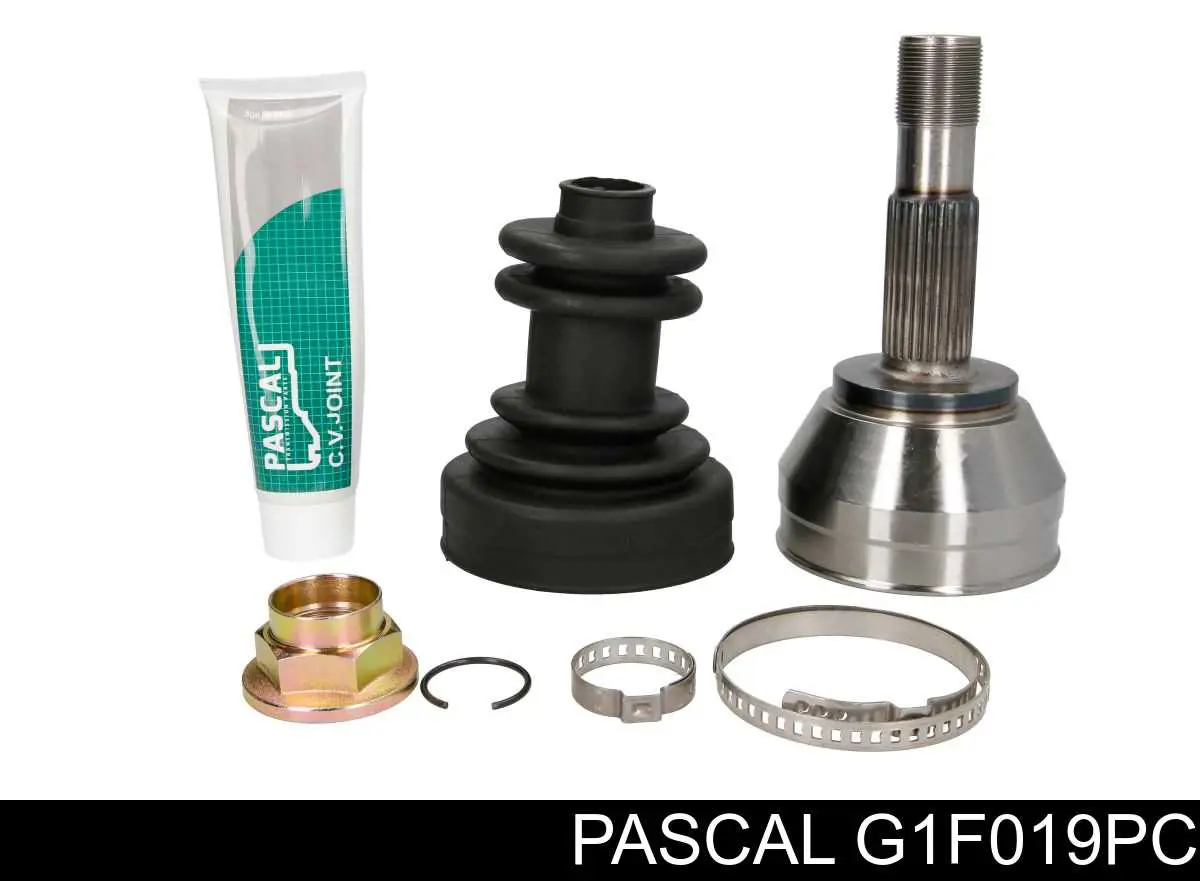 G1F019PC Pascal шрус наружный передний