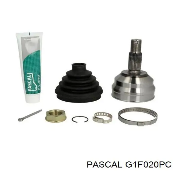 G1F020PC Pascal шрус наружный передний