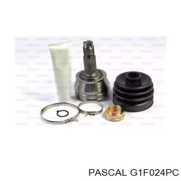 G1F024PC Pascal шрус наружный передний