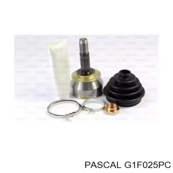 G1F025PC Pascal шрус наружный передний