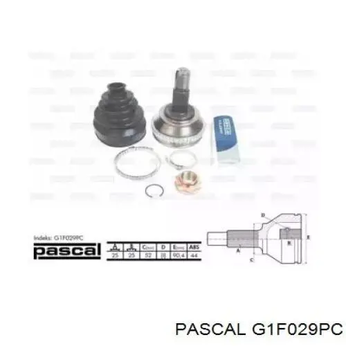 Купить G1F029PC Pascal Внешняя граната