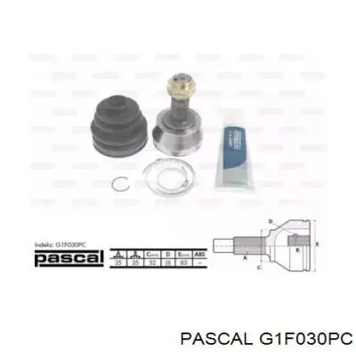 Купить G1F030PC Pascal Внешняя граната