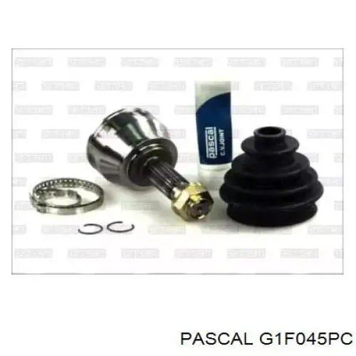 Купить G1F045PC Pascal Внешняя граната