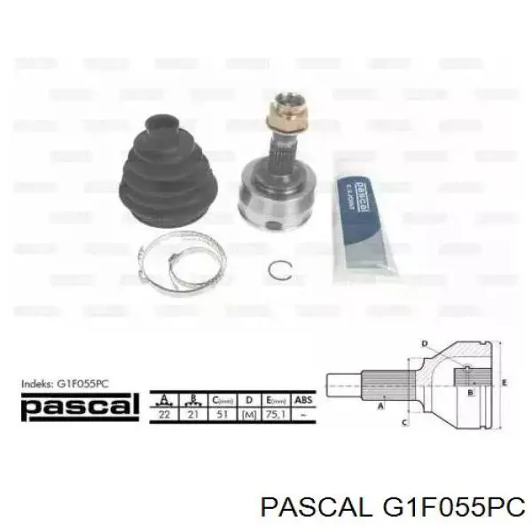 G1F055PC Pascal шрус наружный передний