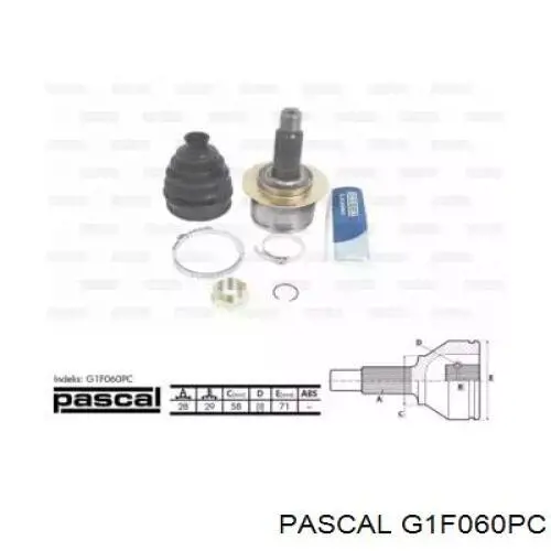 ШРУС наружный передний G1F060PC Pascal