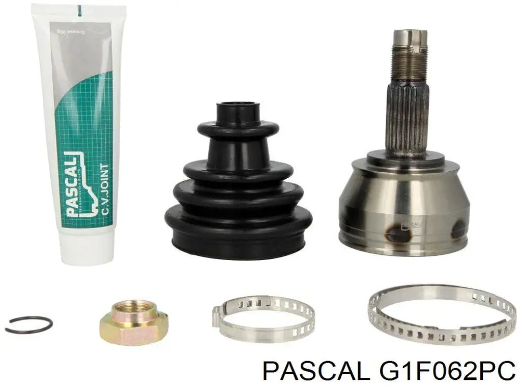 G1F062PC Pascal