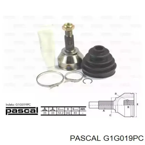 G1G019PC Pascal шрус наружный передний