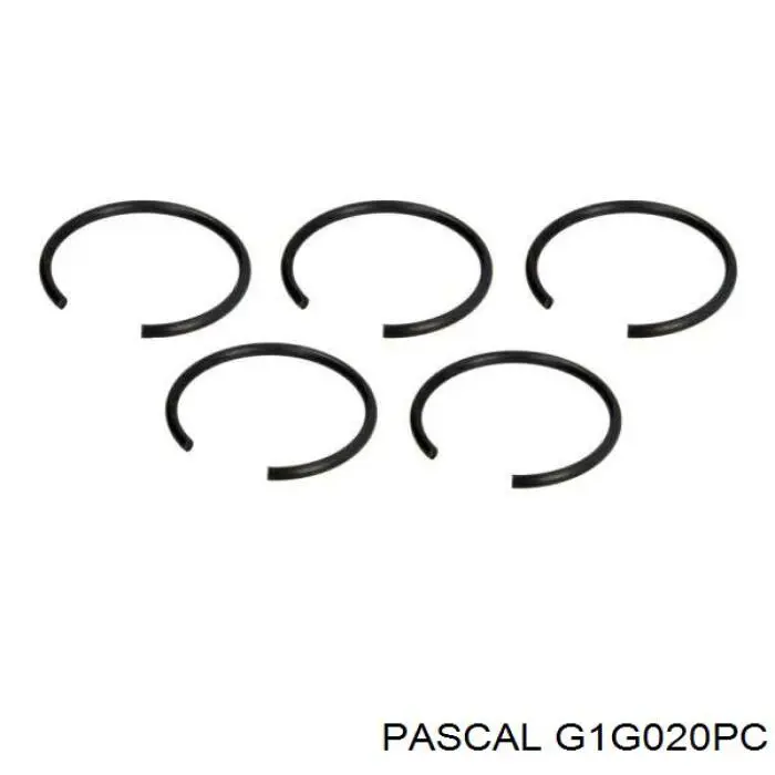 Граната колесная Pascal G1G020PC цена, от 31.63 USD