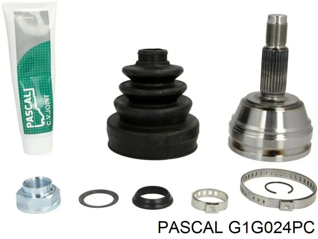 G1G024PC Pascal шрус наружный передний
