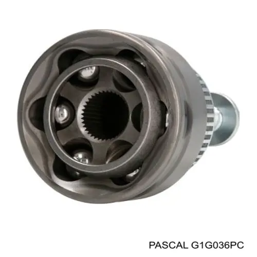 Купить G1G036PC Pascal Внешняя граната
