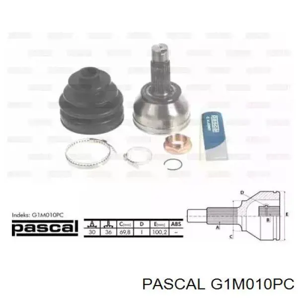 G1M010PC Pascal шрус наружный задний