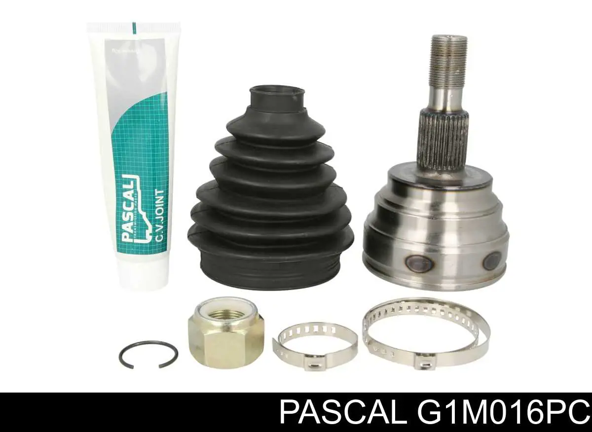 G1M016PC Pascal шрус наружный передний