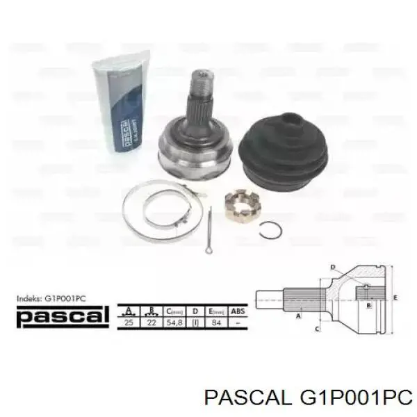 G1P001PC Pascal шрус наружный передний