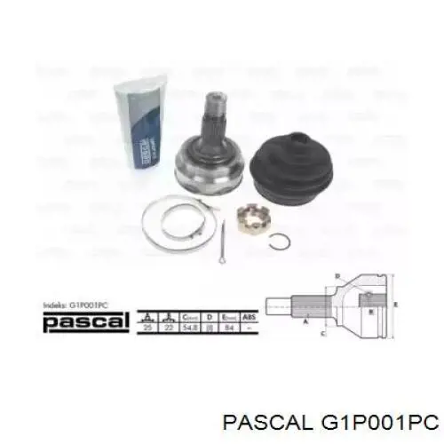 ШРУС наружный Pascal G1P001PC
