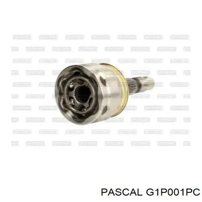 Купить G1P001PC Pascal Внешняя граната