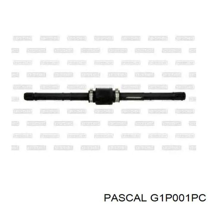 ШРУС наружный передний G1P001PC Pascal