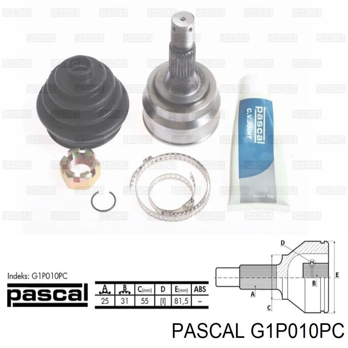 G1P010PC Pascal шрус наружный передний
