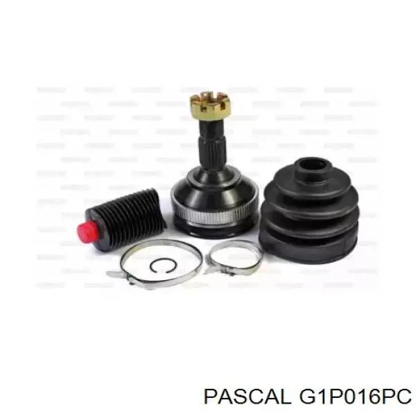  G1P016PC Pascal