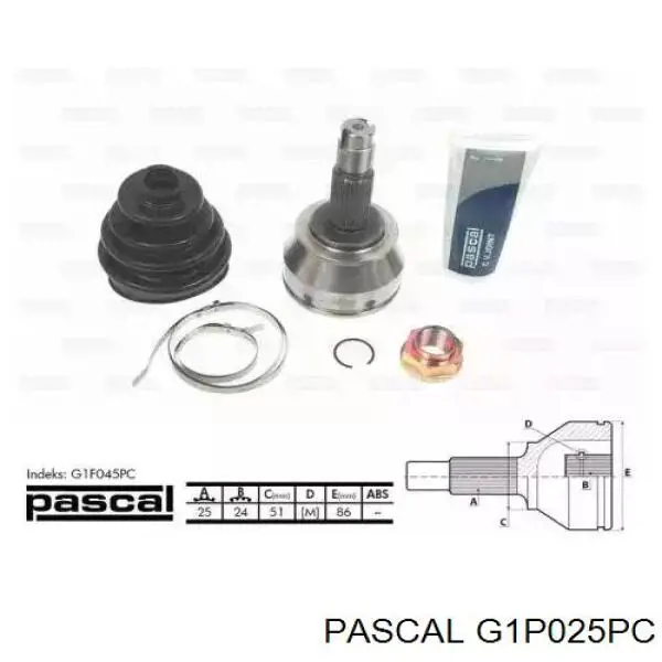ШРУС наружный Pascal G1P025PC