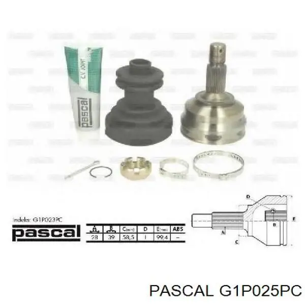 G1P025PC Pascal Наружная граната