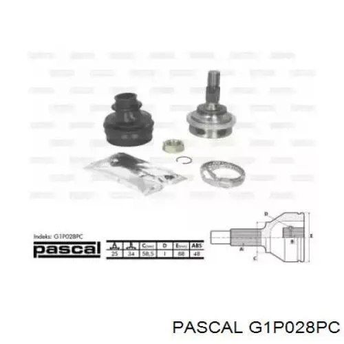  G1P028PC Pascal