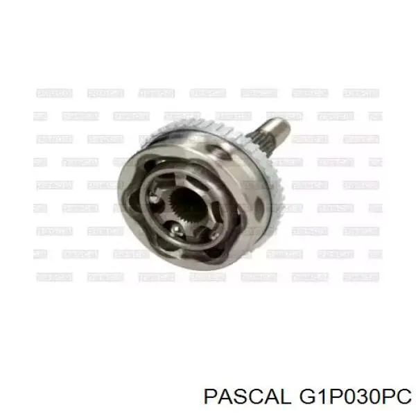  Pascal G1P030PC цена, от 30.28 USD