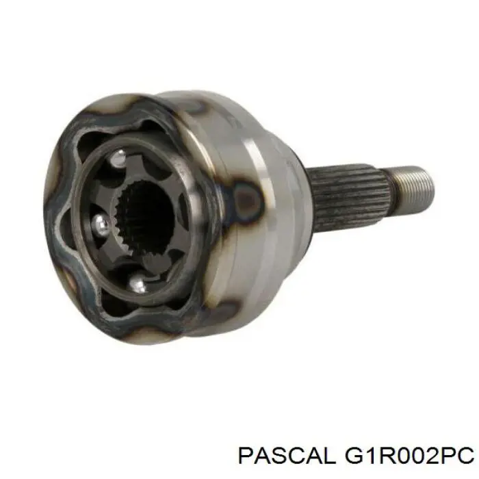 G1R002PC Pascal шрус наружный передний