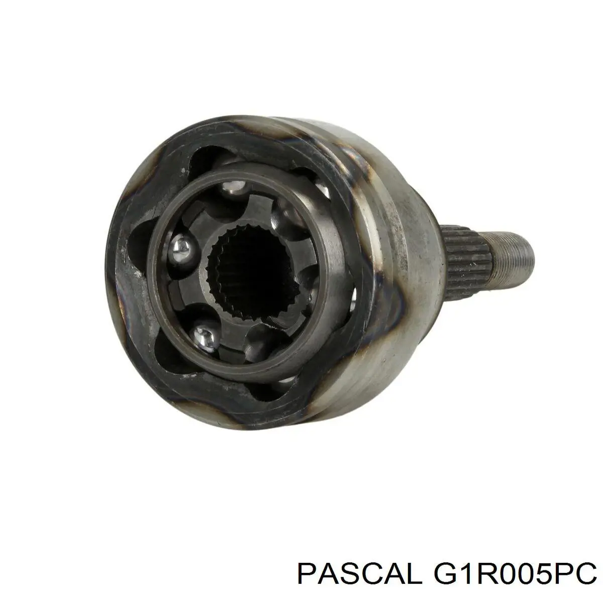 Купить G1R005PC Pascal Внешняя граната