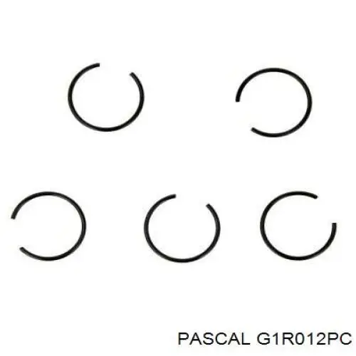 ШРУС наружный Pascal G1R012PC