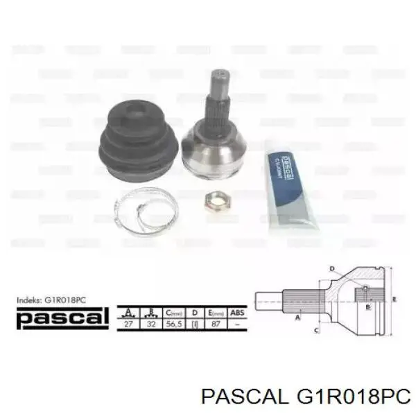 G1R018PC Pascal шрус наружный передний