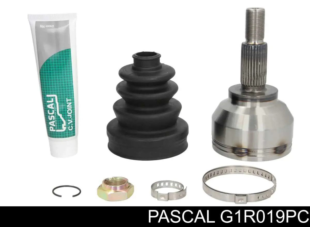 G1R019PC Pascal шрус наружный передний