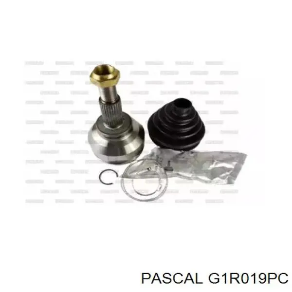 Купить G1R019PC Pascal Внешняя граната