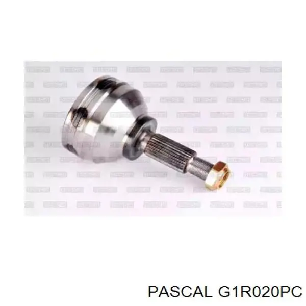 ШРУС наружный Pascal G1R020PC