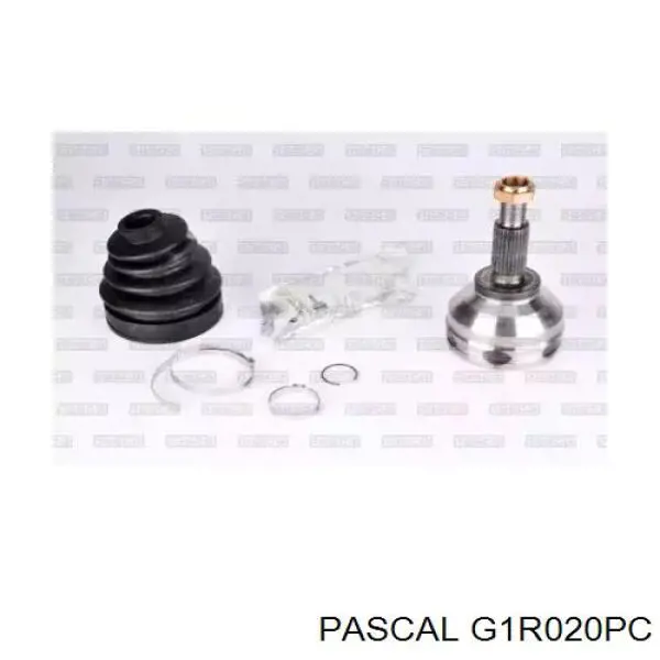 G1R020PC Pascal шрус наружный передний
