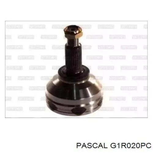 Купить G1R020PC Pascal Внешняя граната