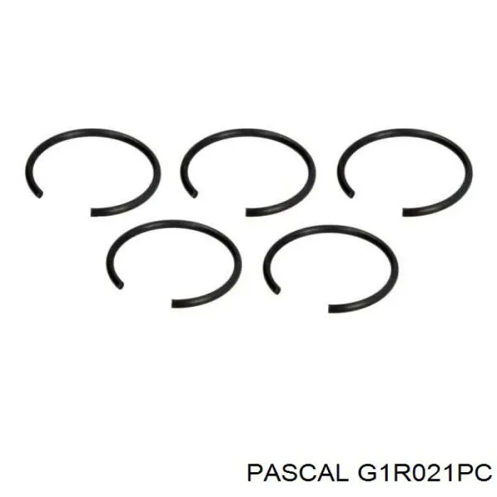 Купить G1R021PC Pascal Внешняя граната