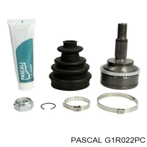 ШРУС наружный Pascal G1R022PC