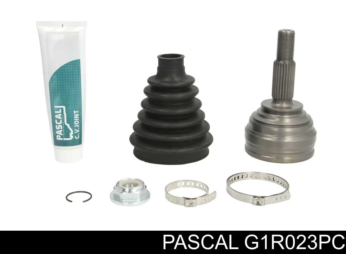 G1R023PC Pascal шрус наружный передний