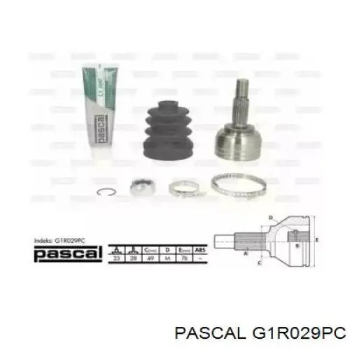 G1R029PC Pascal шрус наружный передний