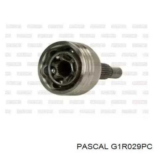 G1R029PC Pascal