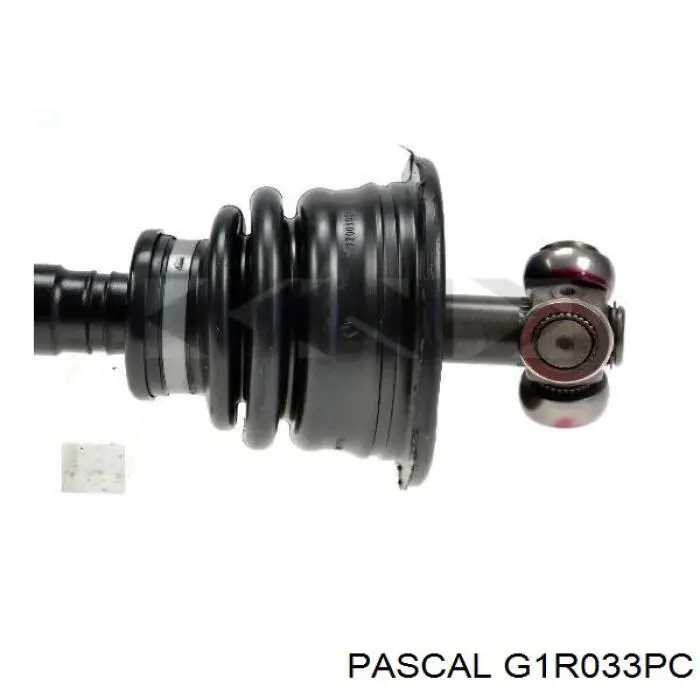 Купить G1R033PC Pascal Внешняя граната