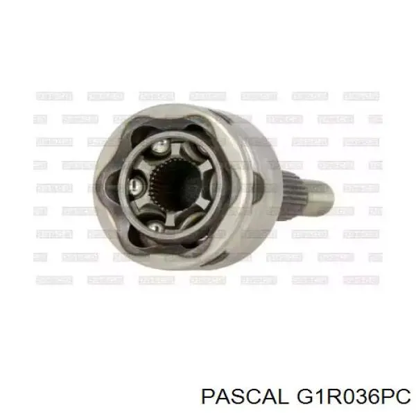 ШРУС наружный передний G1R036PC Pascal