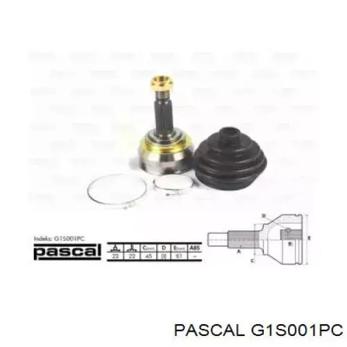 ШРУС наружный Pascal G1S001PC