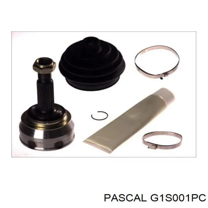 G1S001PC Pascal