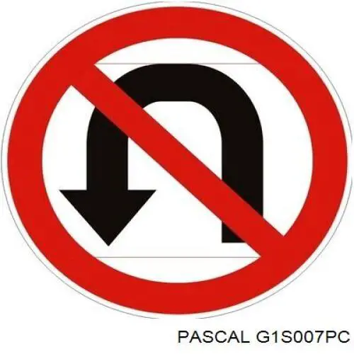 ШРУС наружный Pascal G1S007PC