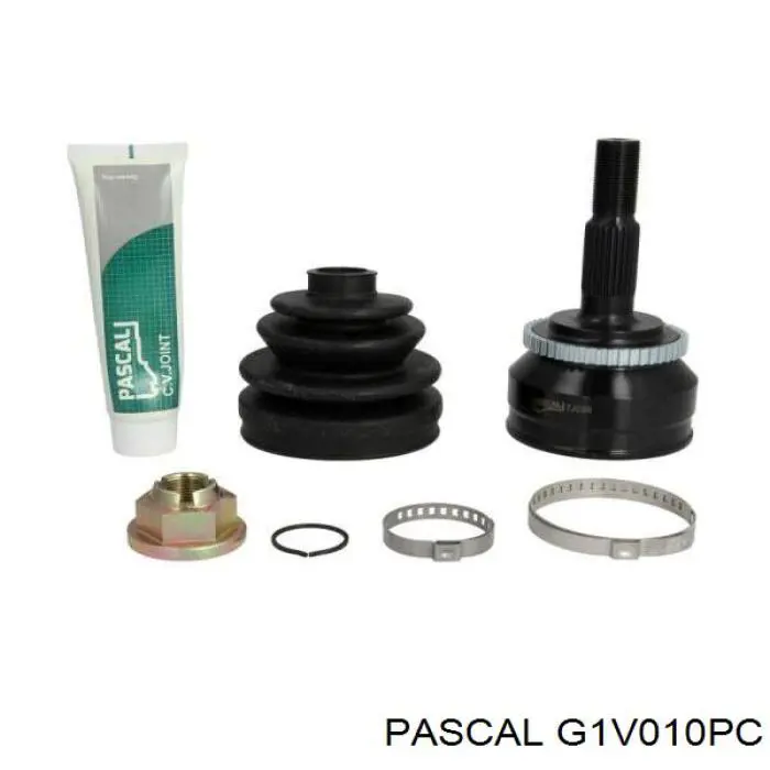 G1V010PC Pascal шрус наружный передний