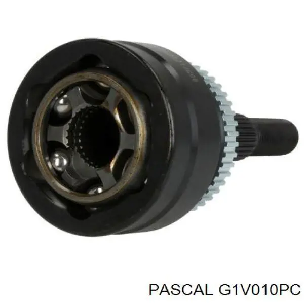 G1V010PC Pascal